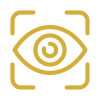 Our Vision